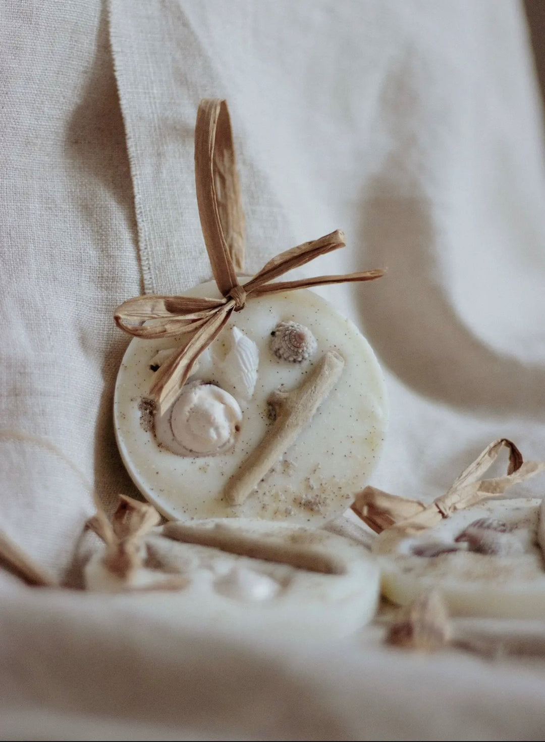 Jamila Homeware Sea Salt & Driftwood Wax Melt Decoration
